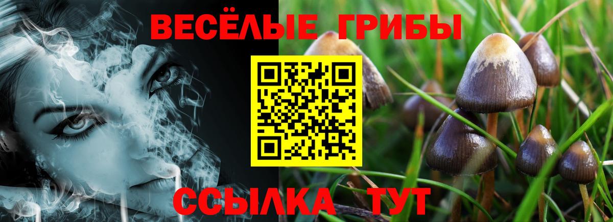 Галлюциногенные грибы MAGIC MUSHROOMS  Вход с VPN  Кохма 
