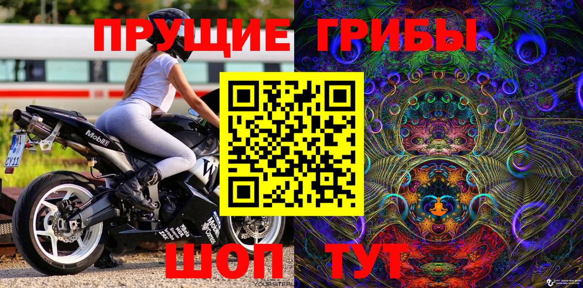 Псилоцибиновые грибы MAGIC MUSHROOMS Кохма