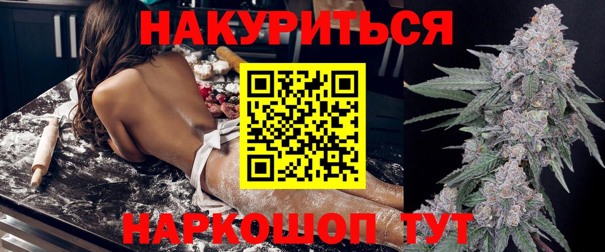 Бошки Шишки планчик Кохма